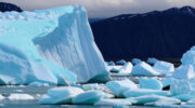 Ледники Арктика
