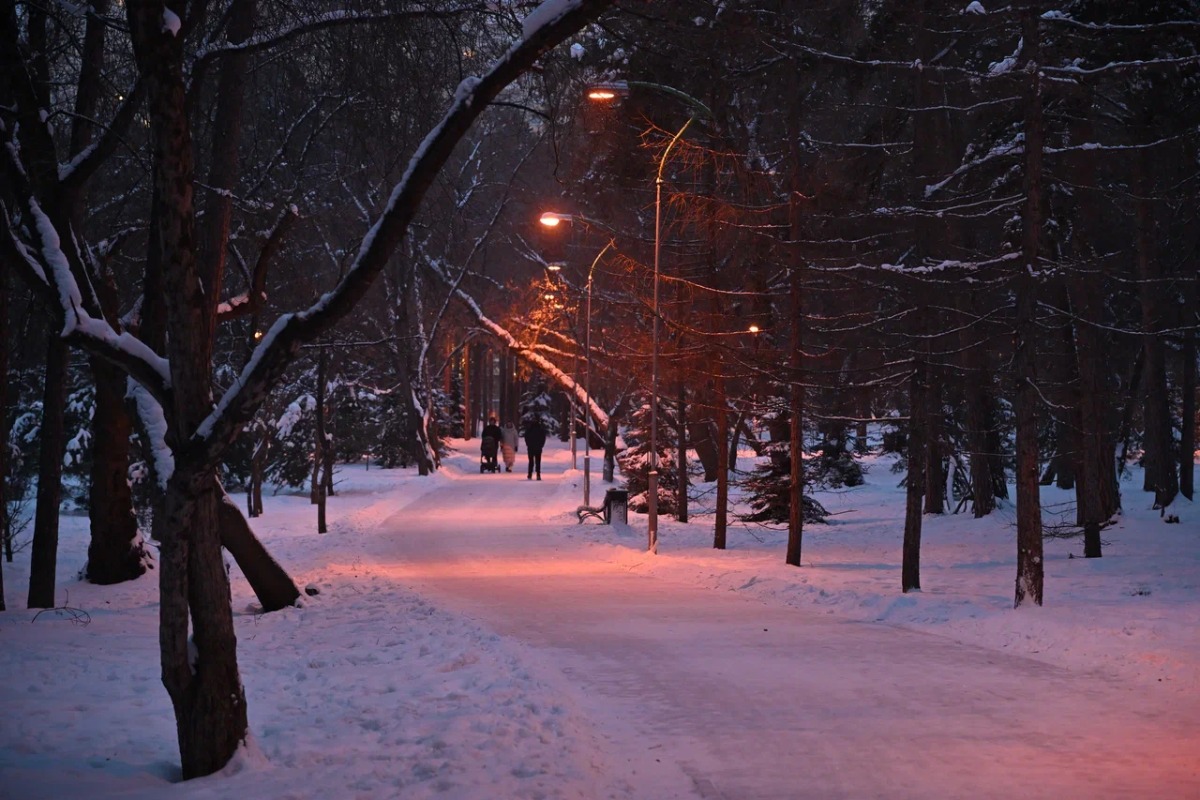 Учёные доказали, что парки успокаивают мозг всех горожан